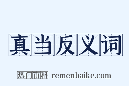 真当反义词是什么意思的图片